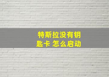 特斯拉没有钥匙卡 怎么启动